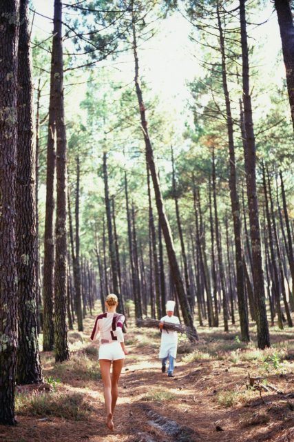 Forest Bathing: Everything You Need to Know