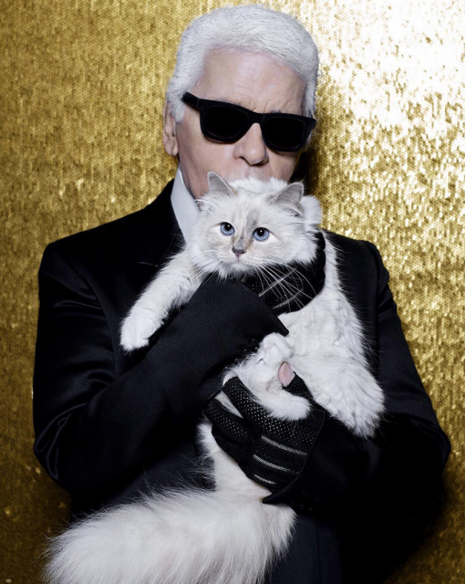 Karl Lagerfeld 離世後，愛貓 Choupette 開始獨立發展