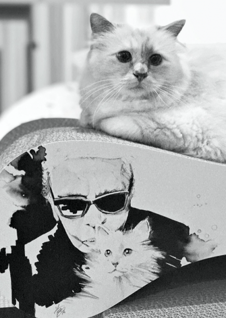 Karl Lagerfeld 最新攝影書即將開售：由其愛貓 Choupette 成為主角