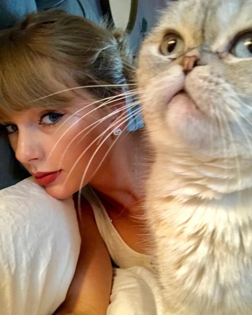 Taylor Swift以愛貓宣揚抗疫訊息：呼籲大家留在家中隔離