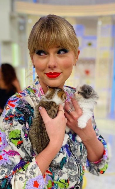 Taylor Swift 分享愛貓照片，幽默反映大家社交隔離狀態