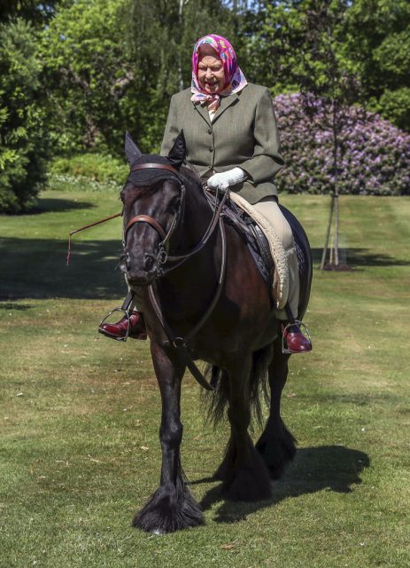 94歲英女王隔離期仍然精神十足，溫莎堡騎馬氣勢如虹