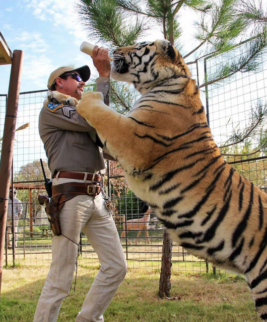 《Tiger King》Joe Exotic將會現身在動物星球頻道的最新紀錄片《Surviving Joe Exotic》