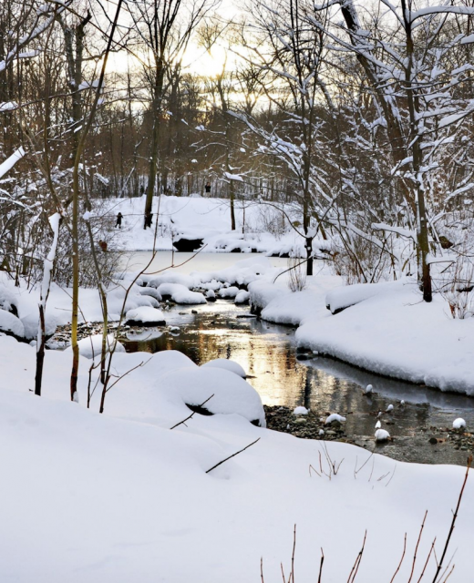 眼睛想旅行：透過照片走進化身冬季仙境的紐約中央公園 Central Park