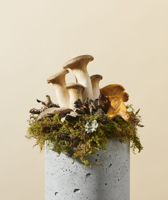 #SustainabilityInVogue 生物科技讓蘑菇成為皮革？專訪 Bolt Threads 創辦人 Dan Widmaier