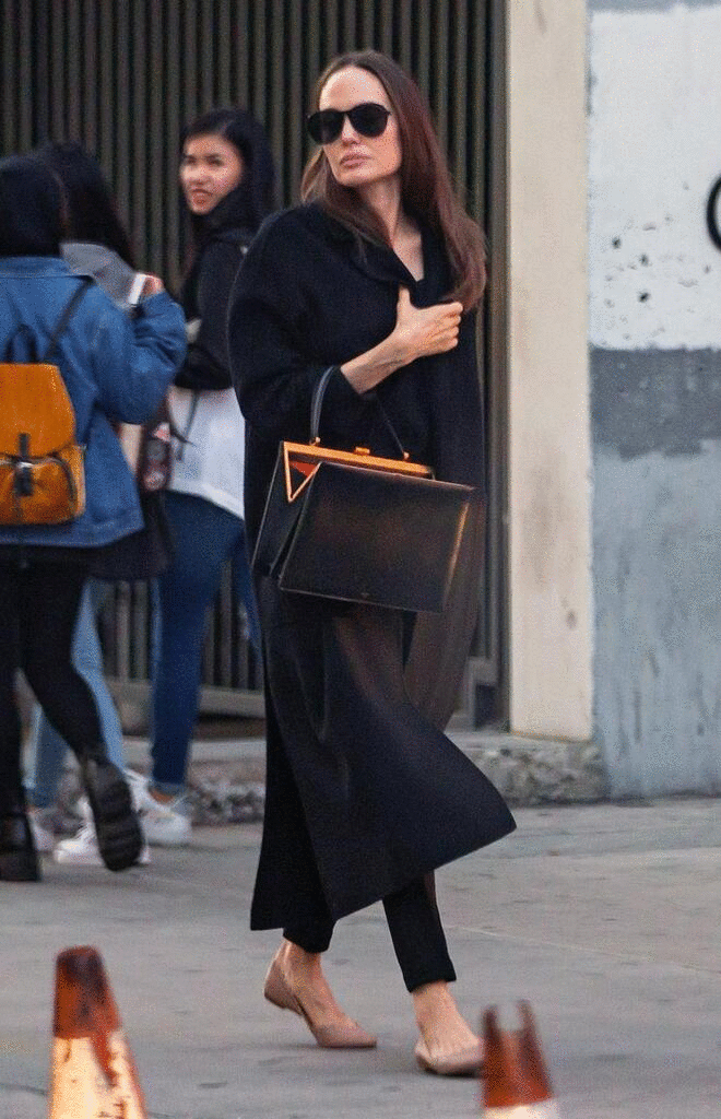 angelina jolie louis vuitton city steamer