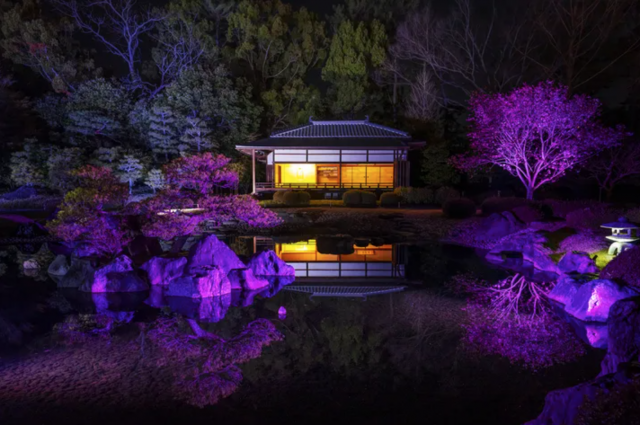 眼睛想旅行：2022 櫻花季到世界遺產賞櫻！「京都二条城藝術展」結合光雕與互動裝置，體驗古城夜櫻之美