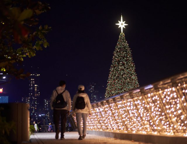 The Best Christmas Tree Displays In Hong Kong Right Now