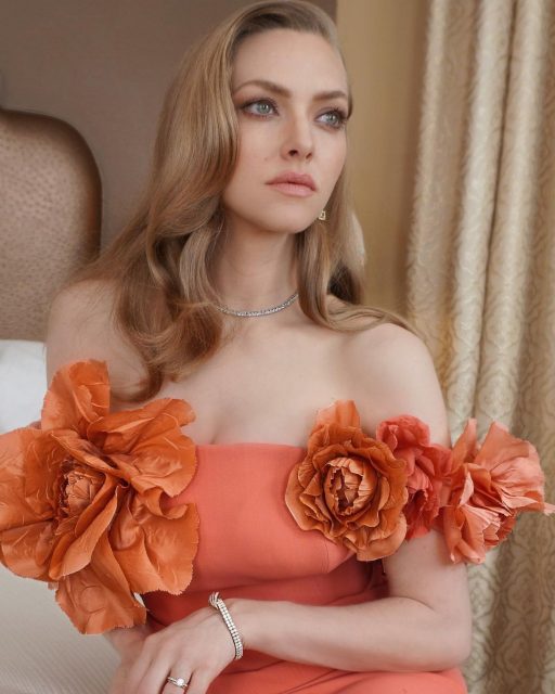 5 Things To Know About Amanda Seyfried