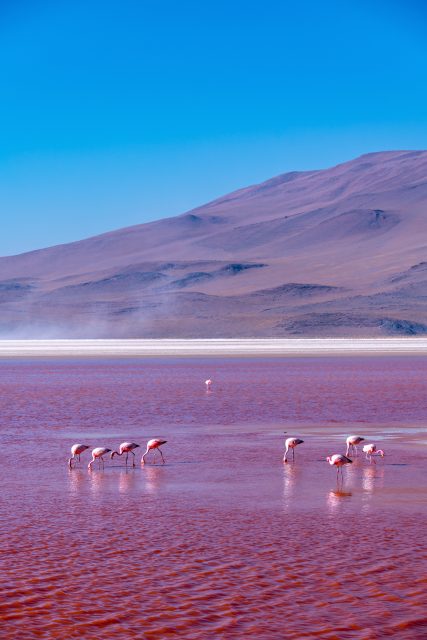 從冰島到西藏，一起欣賞世界上9大堪稱自然奇觀的最美湖泊